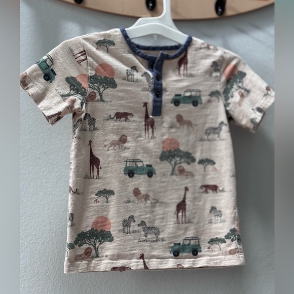 Gymboree Safari Adventure Tee - Cream and Blue - Picture 7 of 7
